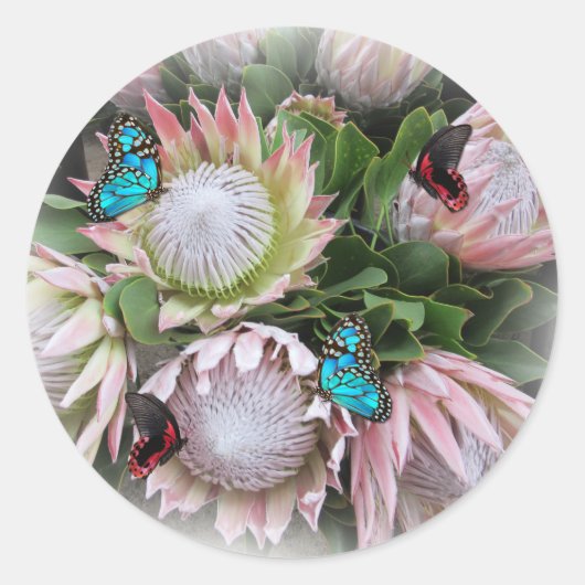 The King Protea  Ronde Sticker (Voorkant)