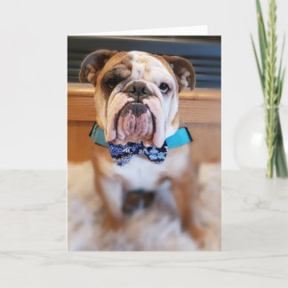 Thé La Carte de Noël Joyeux Bulldog