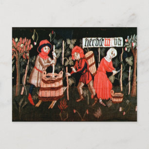 The Labour of the Months, from Alsace Briefkaart
