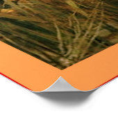 The Lady of Shalott Poster (Hoek)