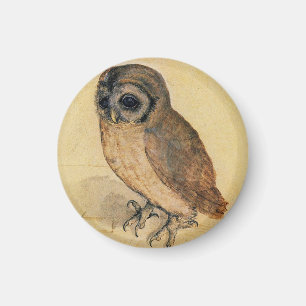 The Little Owl Albrecht Dürer Magneet