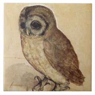 The Little Owl (door Albrecht Durer) Tegeltje