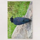 The Lookout - Rustige Ember in de Smokies Legpuzzel (Verticaal)