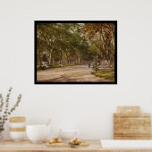 The Mall Central Park NYC 1900 Poster (Keuken)