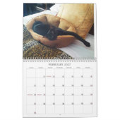 The Marshalls 2026 Calendar Kalender (Feb 2027)