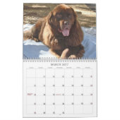 The Marshalls 2026 Calendar Kalender (Mar 2027)