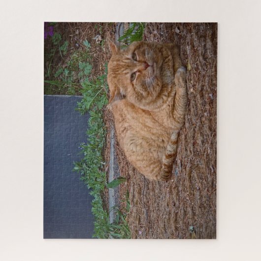 The Master of the Sunny Path Legpuzzel (Verticaal)