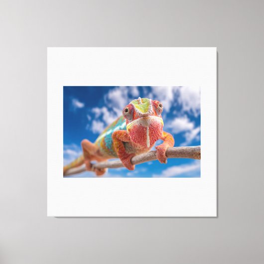 The Master of Tropical Colors Canvas Afdruk (Voorkant)