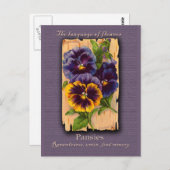 The Meaning of the Pansy Briefkaart (Voorkant / Achterkant)