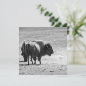 The Mighty Buffalo  Bedankkaart (Staand voorkant)