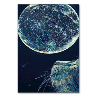 The moon and the cat |Cat Lover Kaart