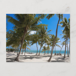 The Moorings Resort, Marathon, Key West, 2 Briefkaart