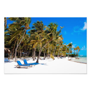 The Moorings Resort, Marathon, Key West, 2 Foto Afdruk