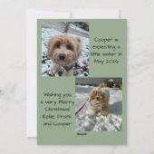 The More The Merrier Christmas Photo Card Feestdagenkaart (Achterkant)