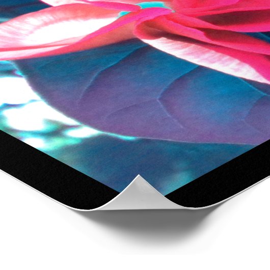 The Morning Glory Poster (Coin)