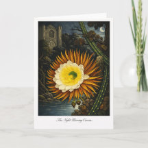 The Night Blowing Cereus — Modern Botanical Reinte