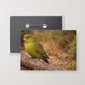 The Night Parakeet Badge Large Button (Voorkant / Achterkant)