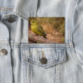 The Night Parakeet Badge Large Button (Insitu)
