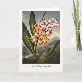 The Nodding Renealmia — Modern Botanical Reinterpr Kaart