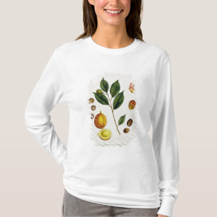 The Nutmeg, bord 353 uit 'A Curious Herbal', pub T-shirt