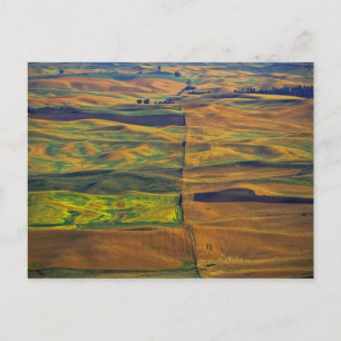 The Palouse vanuit Steptoe Butte, Colfax, Briefkaart