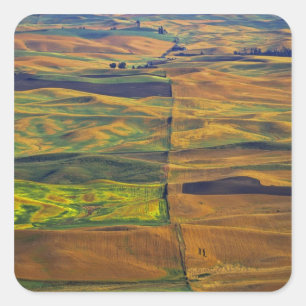 The Palouse vanuit Steptoe Butte, Colfax, Vierkante Sticker