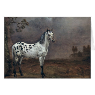 The Piebald Horse, 1653