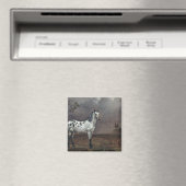 The Piebald Horse, 1653 Magneet (Insitu (Vaatwasser))