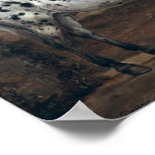 The Piebald Horse, 1653 Poster (Hoek)