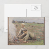 The Potato Gatherers, 1898 Briefkaart (Voorkant / Achterkant)
