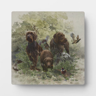 The Pudelpointer        Fotoplaat