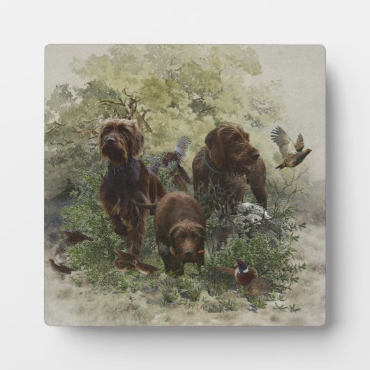 The Pudelpointer        Fotoplaat (Voorkant)