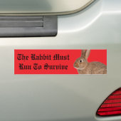The rabbit must run to survive bumper sticker (Op auto)