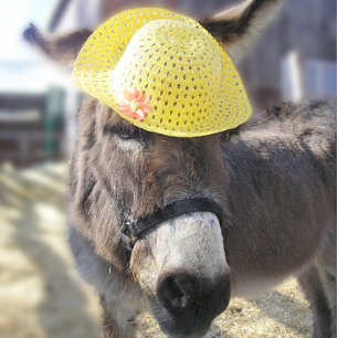 "The Real Easter Bunny" Holiday Kaart