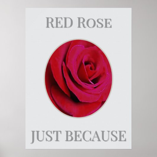 THE RED Rose Poster (Voorkant)