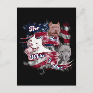 The Red, White & Blue Pitbull Dogs Briefkaart