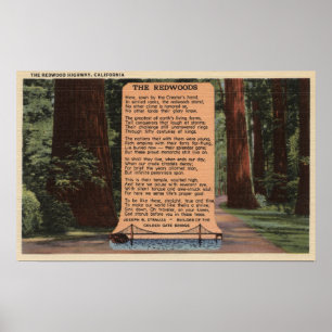 The Redwood Highway, gedicht door Strauss Poster