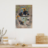 The Rhinoceros Hornbill by Joseph Wolf Poster (Keuken)