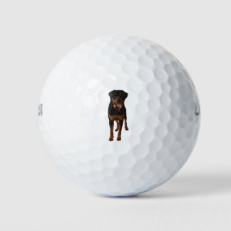 The Rottweiler Golfballen