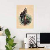 The Saker Falcon by Joseph Wolf Poster (Thuiskantoor)