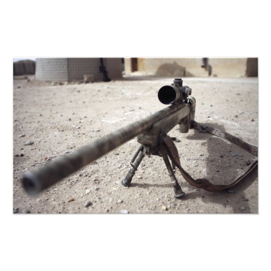 The Schmidt & Bender M-854155 DS Foto Afdruk (Voorkant)