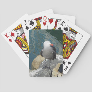 The Seagull Larry Day Ken Gage Vogelfotografie Pokerkaarten
