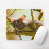 The Senegal Bushbaby Muismat (Met muis)
