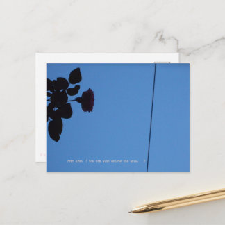 The shadow of a rose emerging darkly. briefkaart