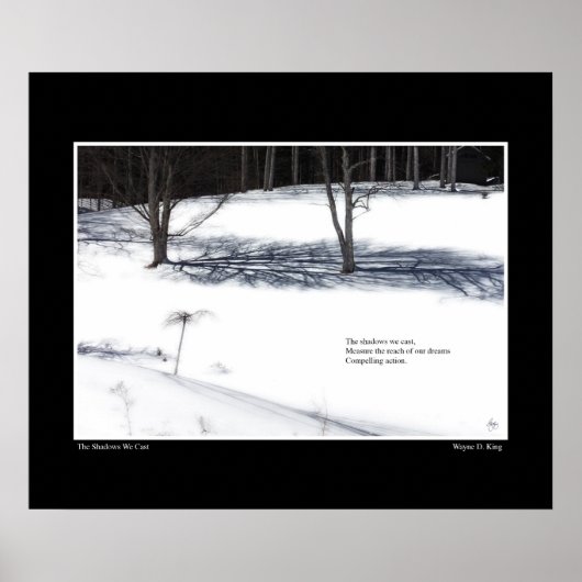 The Shadows We Cast Haiku Poster (Voorkant)