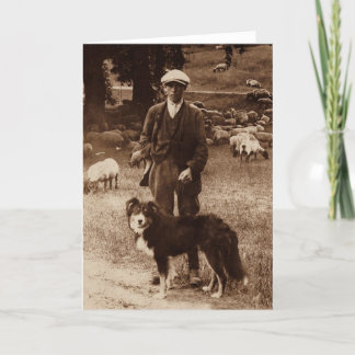The Shepherd beroemd gemaakt door Border Collie No Kaart