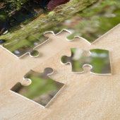 "The Shy Turtle" 252 Piece Jigsaw Puzzle (Côté)