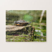 "The Shy Turtle" 252 Piece Jigsaw Puzzle (Horizontal)
