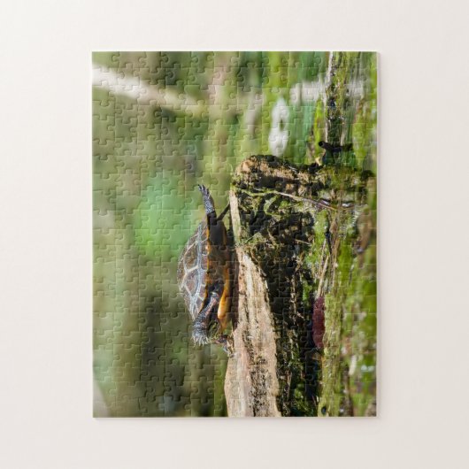 "The Shy Turtle" 252 Piece Jigsaw Puzzle (Vertical)