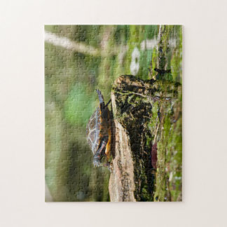 "The Shy Turtle" 252 Piece Jigsaw Puzzle Legpuzzel